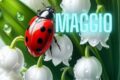 Maggio: La Scelta di Valere. Il Mughetto e l'emozione del talento